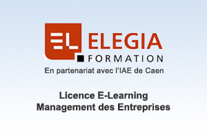 formation-e-learning-Elegia-Formation