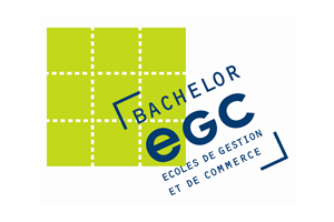 Ecg-réseau-bachelor-développe-alternance