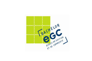 enquête-insertion-diplômés-EGC 