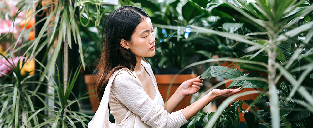 Travailler dans une entreprise de distribution dans l’univers du jardin, une bonne idée ?